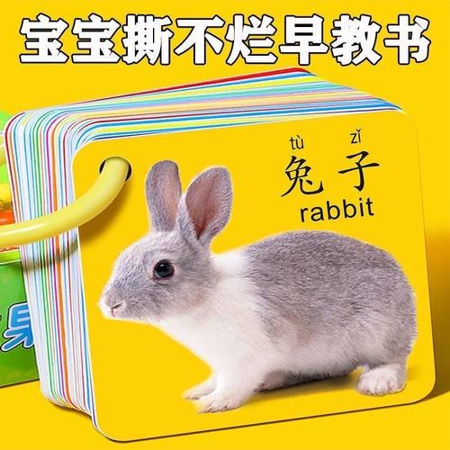 动物卡片早教启蒙认知卡识物玩具