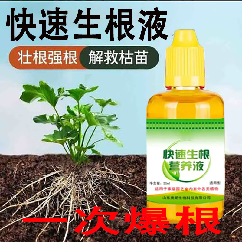 快速生根液生根粉植物扦插营养生根水生根剂绿萝发财树多肉通用肥 鲜花速递/花卉仿真/绿植园艺 家庭园艺肥料 原图主图