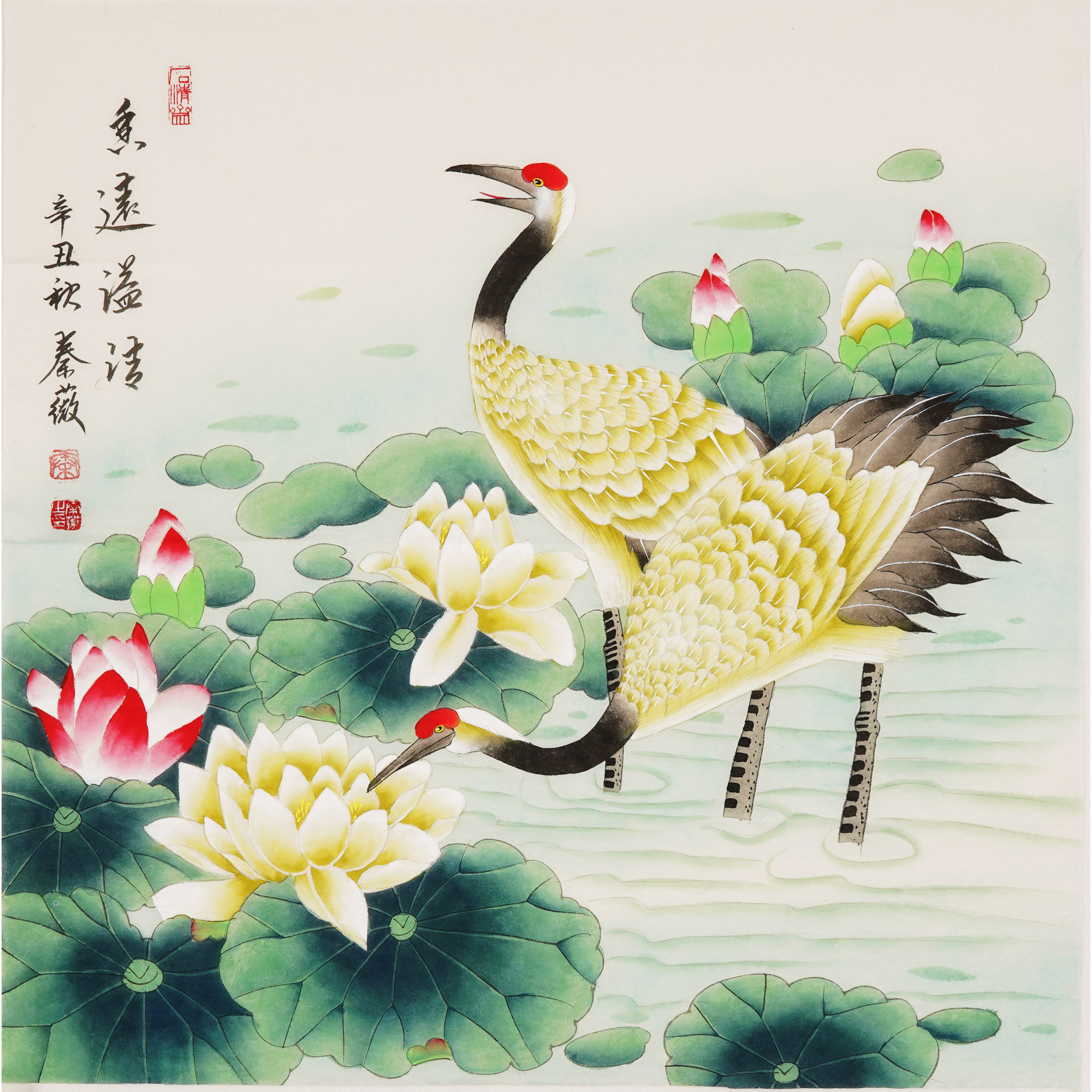 四尺斗方工笔花鸟画国画手工装饰画白鹭荷花仙鹤秦薇字画01666
