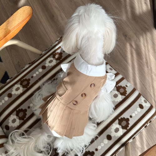 Pokimo猫狗通用风衣舒适人狗同款