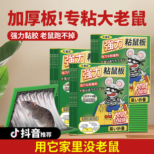 壹念老鼠贴强力粘鼠板抓粘大老鼠粘鼠胶家用一窝端正品 驱捕鼠神器