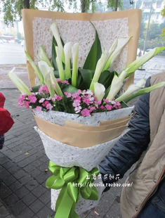 16枝马蹄莲上海鲜花同城速递市区快递静安长宁徐汇黄浦东花店送花