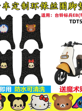 专用台铃标兵EB超能二代K-E版ZS电动车丝圈防水脚垫踩垫 TDT5308Z