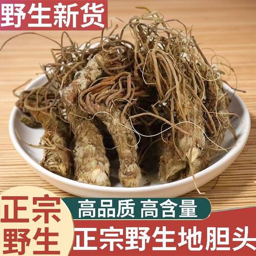 正宗广西野生地胆头新货中