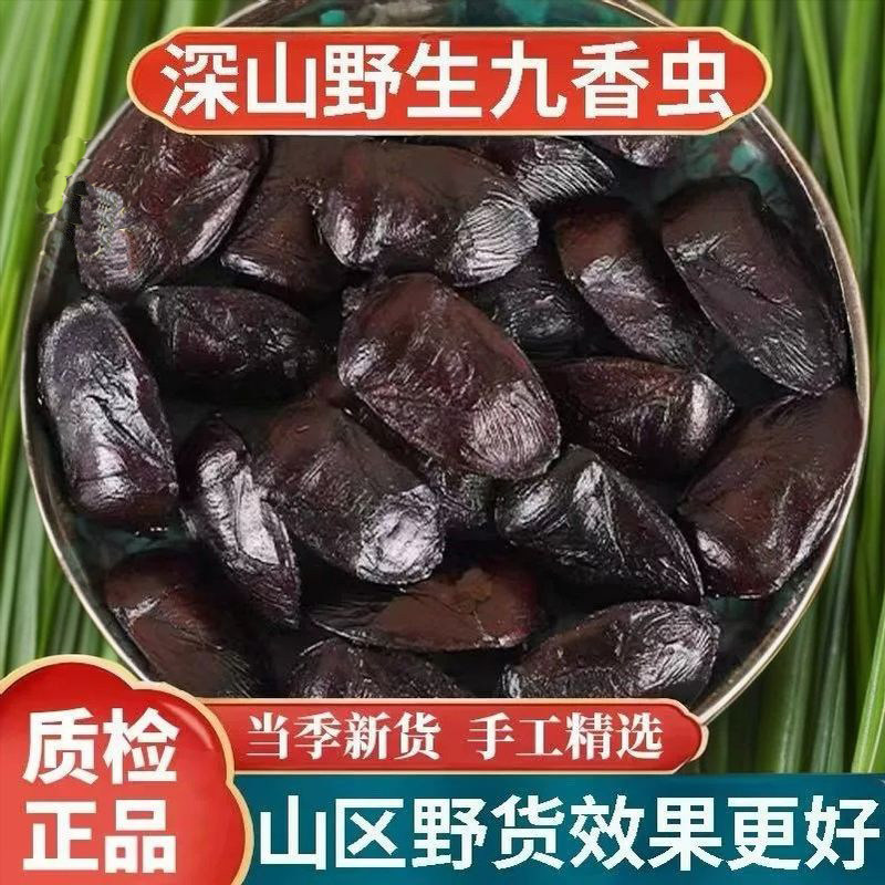 野生九香虫中药材500g正宗新货正品云南打屁虫屁巴虫臭壳子虫