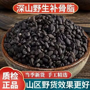 补骨脂野生正品官方旗舰店破故纸黑故子婆固脂中药材吉固子黑固脂