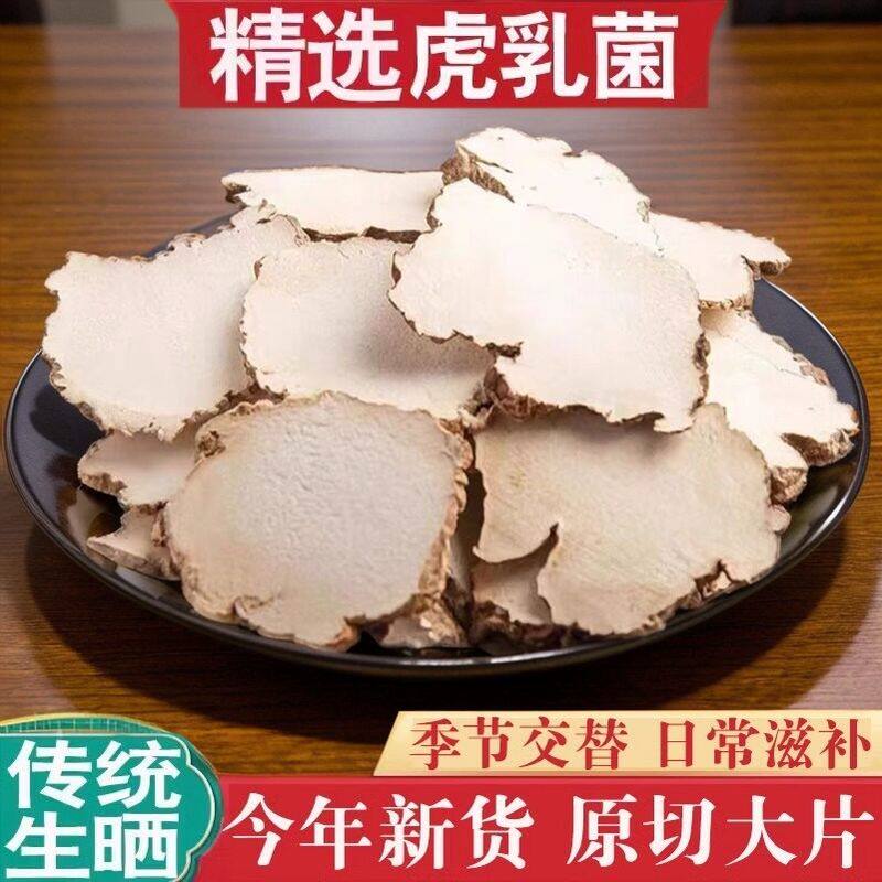 虎乳菌中药材500g大个整个虎乳菌切片小儿老虎奶虎奶菌