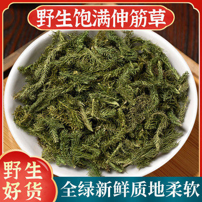伸筋草中药材正品500g官方