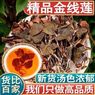 正宗整株金线莲干品大叶红霞中药材500g福建南靖林下防生金线莲
