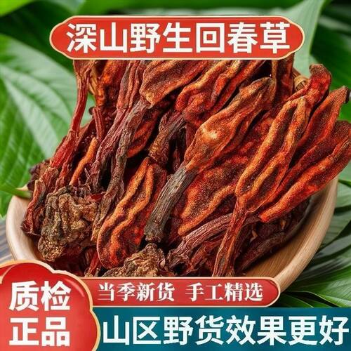 云南野生回春草中药材500g