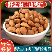 野生山桃仁中药材500g生桃仁山桃仁新货桃仁带皮桃仁