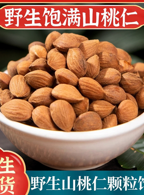 野生山桃仁中药材500g生桃仁山桃仁新货桃仁带皮桃仁
