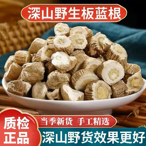正宗深山野生板蓝根中药材