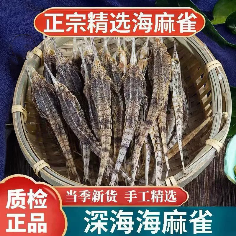正宗海麻雀中药材500g深海干货海底麻雀海燕子煲汤泡酒汤料