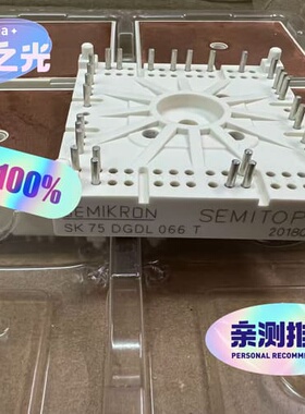 SK75DGDL066T全新原装正品--议价商品