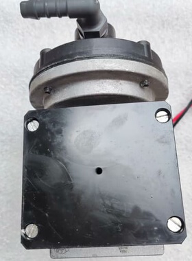 拆机进口THOMAS直流真空泵007BDC19 L 12V--议价商品