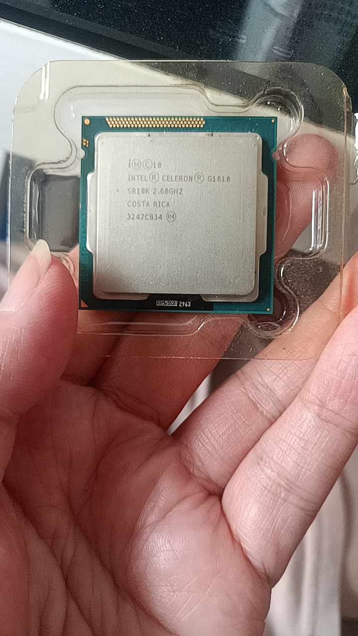 Intel/英特尔 G1610