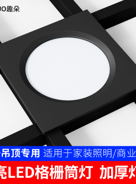 led格栅灯15x15嵌入式网格吊顶专用双头方形筒灯10x10葡萄架射灯