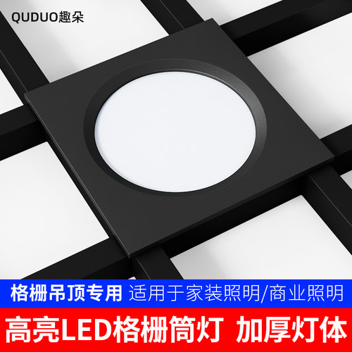 led网格专用双头10x10葡萄架筒灯