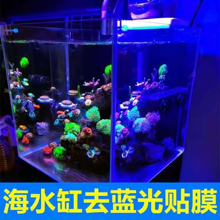 鱼缸海水贴膜屏蔽蓝光保护眼睛
