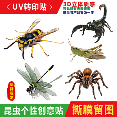 水杯汽车装饰3D立体通用遮挡