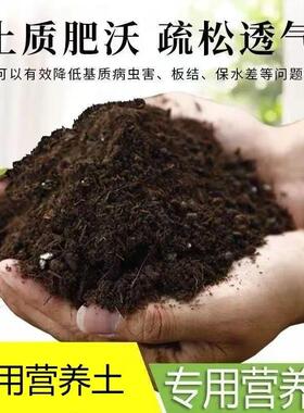 营养土养花通用种菜专用土家用型有机花土疏松透气椰砖多肉育盆栽
