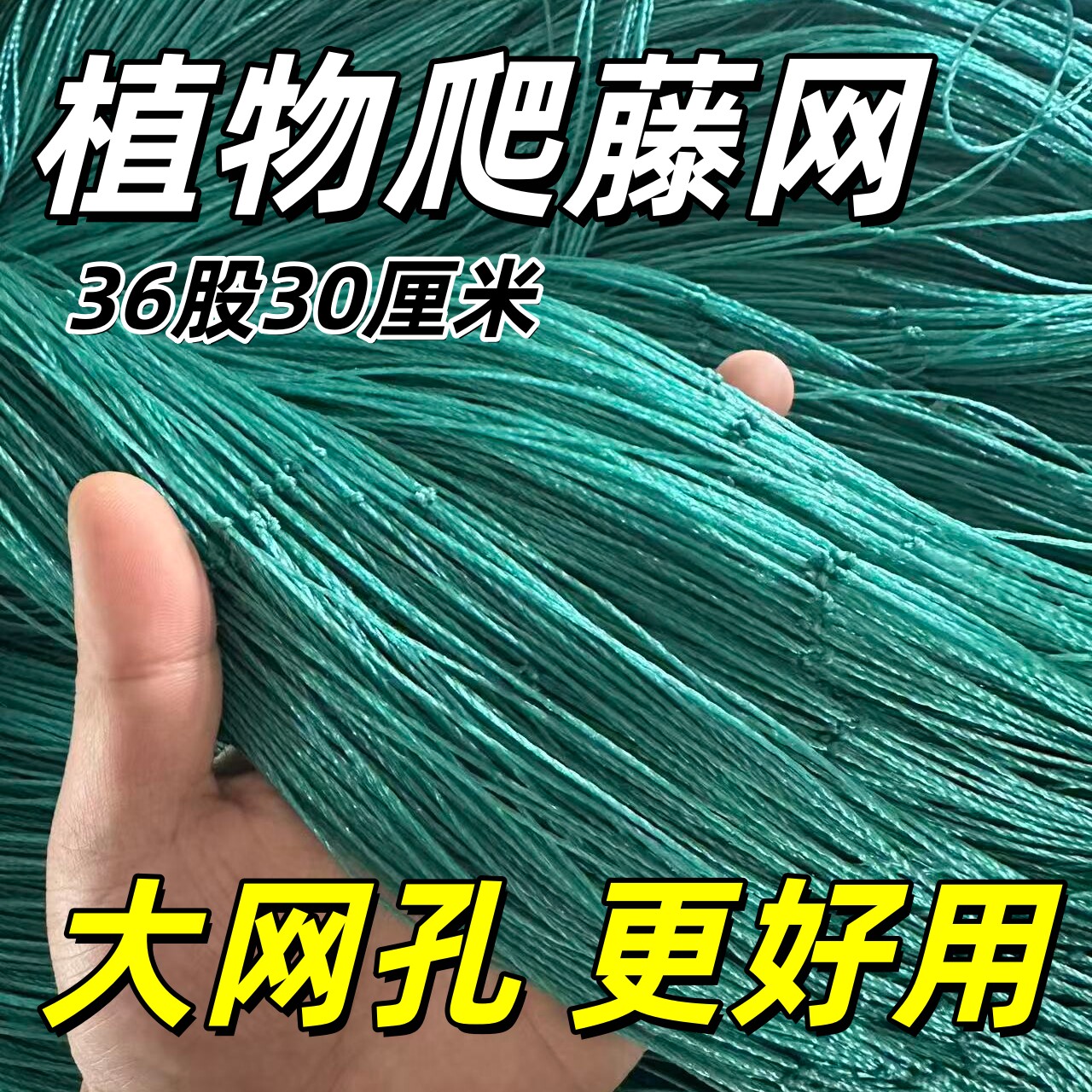 植物爬藤网百香果葡萄攀爬瓜果藤蔓花卉农用网豆角瓜果植物搭架网