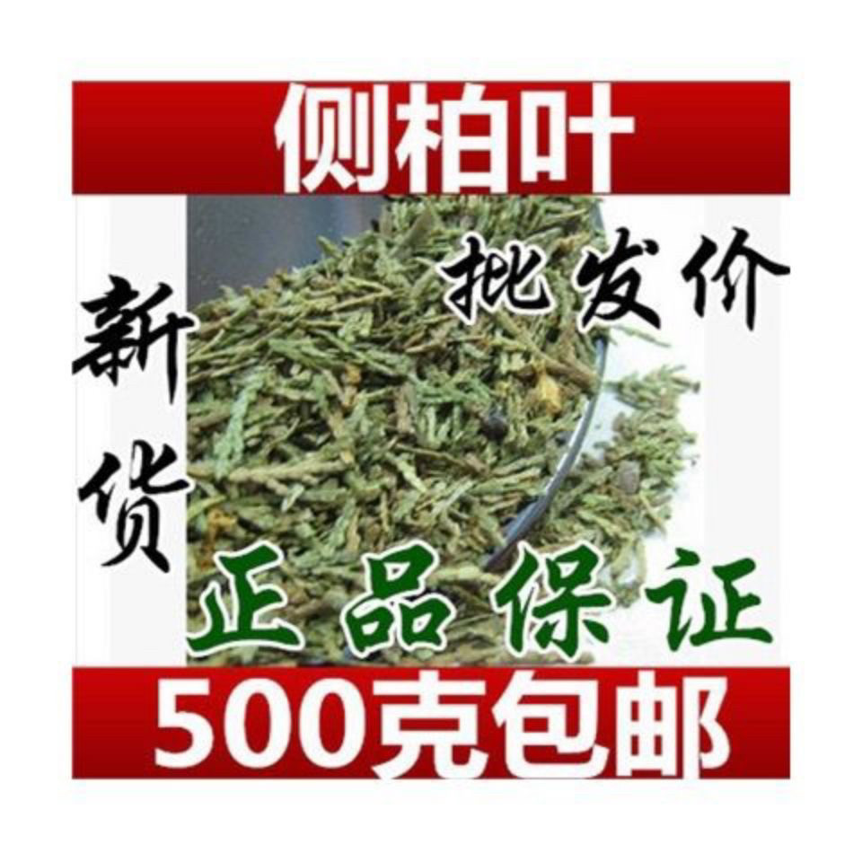 2024新货干侧柏叶野生侧柏叶
