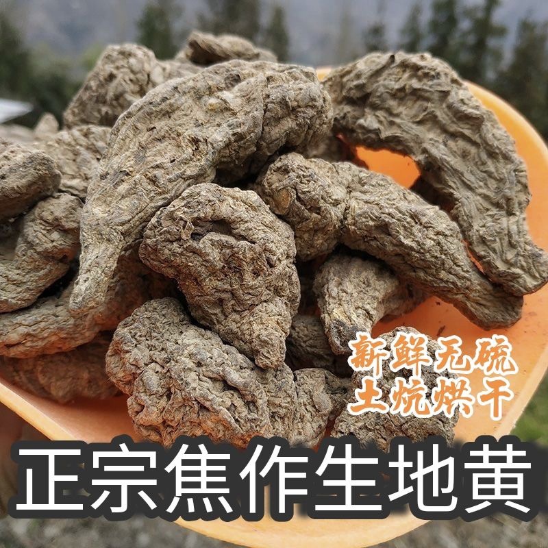 野生生地黄干货中药材河南焦作生地黄个片新鲜干地黄煲汤清热500g