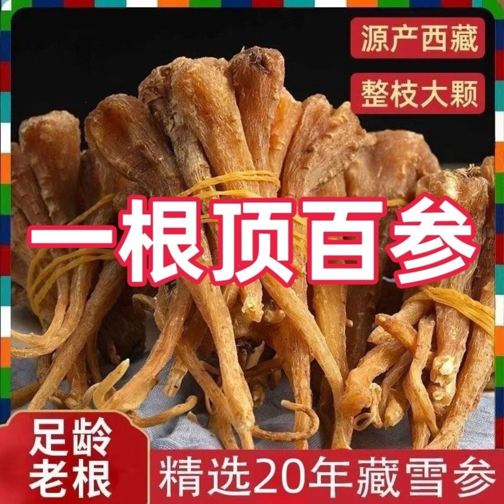 藏雪参参中药材西藏特产煲汤血参红毛阳参滋补佳品无硫精选包邮