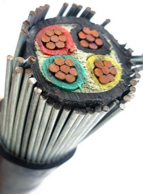 安徽天长市中盛电缆钢丝铠装控制电缆ZR-KYJVP2-32 2*2.5