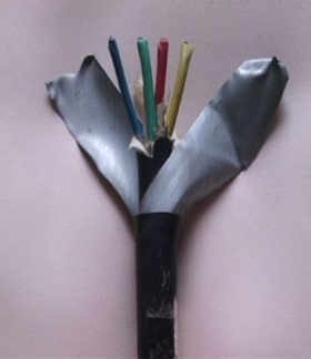 安徽天长市中盛电缆耐火铠装控制电缆NHB-KYJVP32-B 2*2.5
