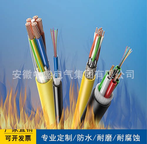 安徽天长市中盛阻燃耐火计算机电缆ZA-NH-DJYPVP  2*2*1.5