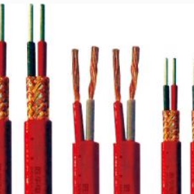 安徽天长市中盛电缆高温补偿电缆DZC-KXHSYF4P2R-IA 1*2*1.5