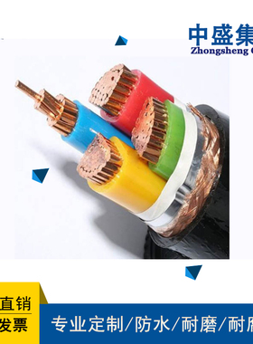 安徽天长市中盛阻燃变频电缆 BPYJVP 3*120+3*16