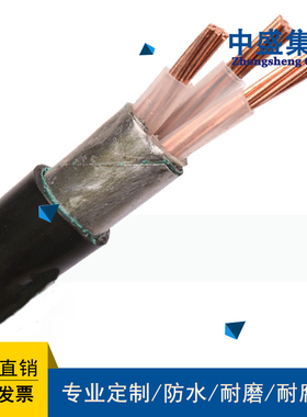 安徽天长中盛屏蔽铠装计算机电缆 DJVP2VP2-22 4*2*1.5