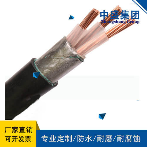 安徽中盛阻燃铠装计算机软电缆ZA-DJYP2VP2R-22 1*2*1.5