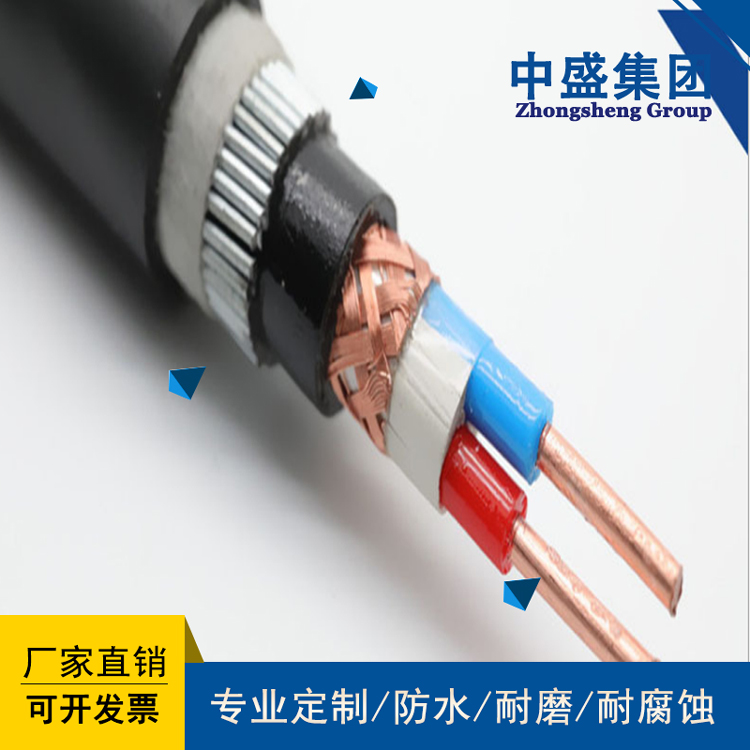 安徽天长市中盛阻燃铠装计算机电缆ZA-DJYVP32 1*2*1.5