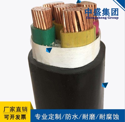 中盛变频器专用变频电缆BPYJVPP2-1KV 3*150+1*70