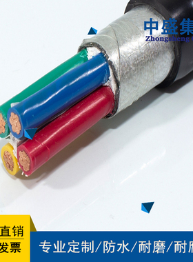 安徽天长市中盛电缆铠装屏蔽控制电缆KYJVP22 24*2.5