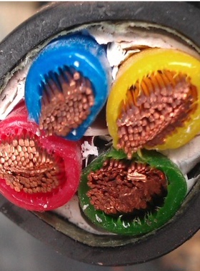 安徽天长市中盛电缆低烟无卤阻燃电力电缆WDZR-YJVR 3*10+2*6