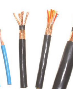 中盛铝塑复合带铜丝编织复合屏蔽计算机电缆 DJVP3VP3P 2*2*1.0