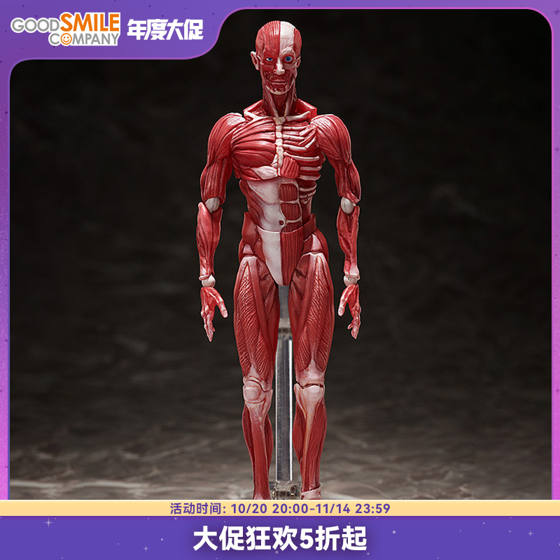 现货人体模型手办动漫游戏