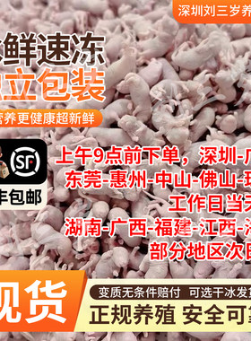 深圳刘三岁小白鼠饲料