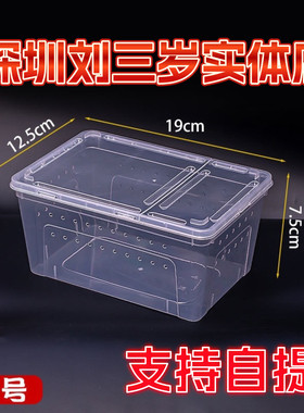 刘三岁人渣盒小号爬宠饲养盒角蛙蜘蛛蜥蜴豹纹塑料饲养箱蚕宝宝