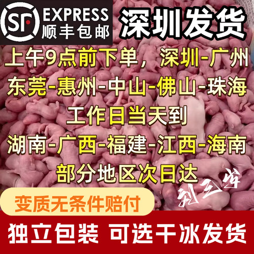 冰冻红皮乳鼠粉皮白霜跳跳喂蛇冰鲜小白鼠喂猫宠物蛇食物角蛙饲料 - 封面