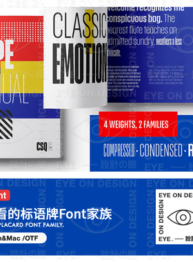 ZT15英文气质标语牌Font海报书籍封面杂志插图字体平面设计师素材