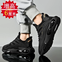 Черная [основная картина увеличила деньги]