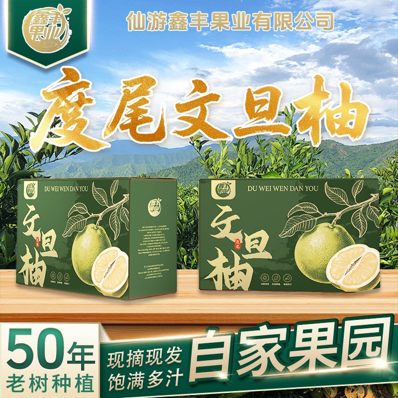 福建度尾文旦柚新鲜水果当季现摘现发当季新鲜香甜红心柚产地直发