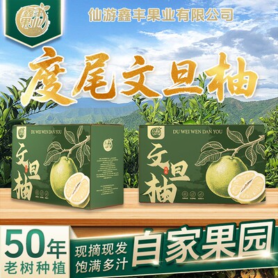 福建度尾文旦柚新鲜水果当季现摘现发当季新鲜香甜红心柚产地直发